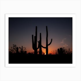 Saguaro Cacti At Sunset Outside Tucson Arizona Art Print