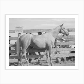 Palomino Mare At Auction Sale, El Dorado, Texas By Russell Lee Art Print