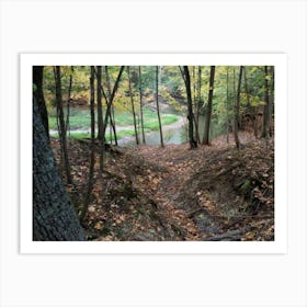 Trail In The Woods 1 Art Print