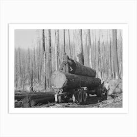 Loading Logs Onto Truck, Tillamook County, Oregon By Russell Lee 1 Art Print