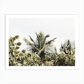 Tropical Foliage Art Print