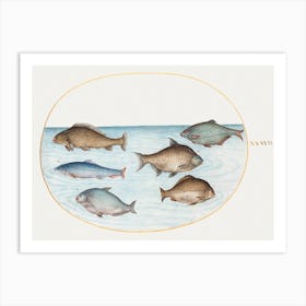 Six Fish, Including Carp (1575–1580), Joris Hoefnagel Art Print