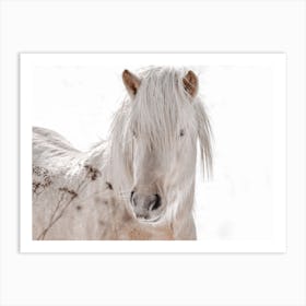 Neutral Winter Horse Art Print