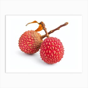 Lychee Fruit 19 Art Print