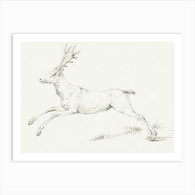 Vintage Deer Sketch Art Print