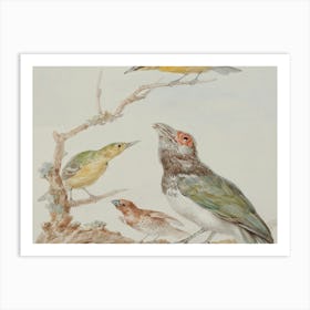 Group Of Birds Art Print