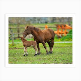 Horse And Foal 20210502116pub Art Print