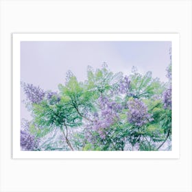 Lilac Tree Art Print