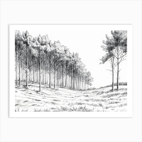 Forest 3 Art Print