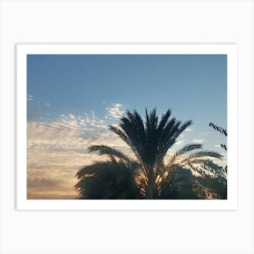 Sunset With Palm Trees Art Print