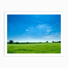 Green Field With Blue Sky Art Print