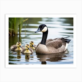 Canadian Geese 2 Art Print