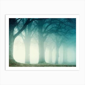 Foggy Forest 2 Art Print