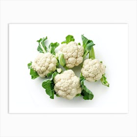 Cauliflower 9 Art Print