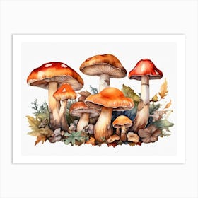 Watercolor Mushrooms Art Print