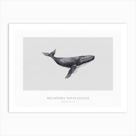 Boho Ocean 1 Humpback Whale Art Print