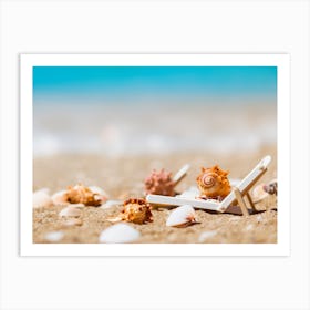 Sea Shells On The Beach Art Print