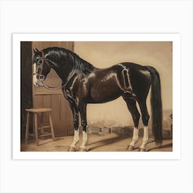 Black Horse In A Stable Art Print