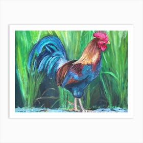 Cockerel Art Print