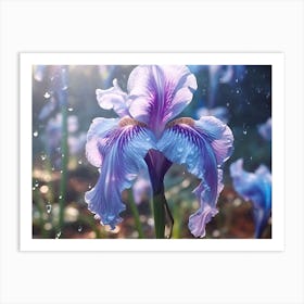 Iris In The Rain Art Print