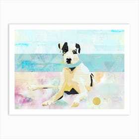 Great Dane Beach Collage Art Print