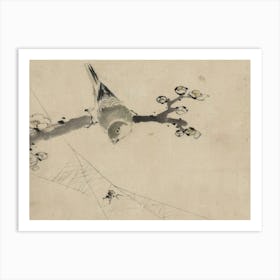 Bird Perched On A Branch 7 Art Print