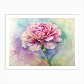 Carnation Art Print