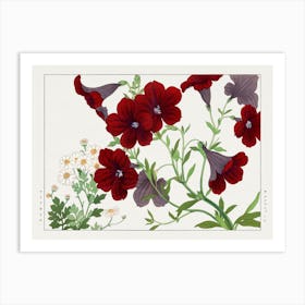 Matricaria & Salpiglossis Flower, Japanese Woodblock Art Print