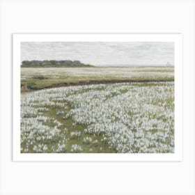 Spring Meadow Art Print