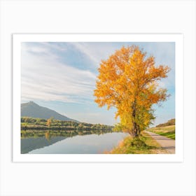 Fall Tree By The River Art Print