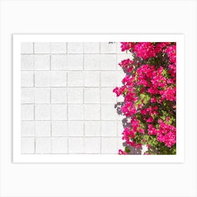 Pink Bougainvillea On White Wall In Palm Springs Art Print