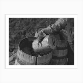 Filling Barrels With Spring Water To Be Used On His Farmstead, Herman Gerling,Wheelock, North Dakota By Russell Lee Art Print