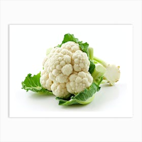 Cauliflower On White Background 1 Art Print