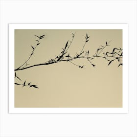 Shadow Of Tree In Sepia Color As Japanese Painting Lookalike Art Print