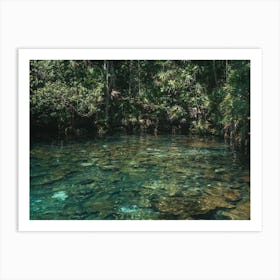 Cenote Jungla Art Print