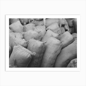 Untitled Photo, Possibly Related To Sacks Of Mohair In Storage At The Warehouse Of The Kimble Wool And Art Print