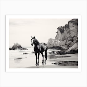 A Horse Oil Painting In Praia Da Marinha, Portugal, Landscape 2 Art Print