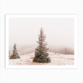 Stand Alone Pine Tree Art Print