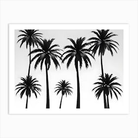 Silhouette Of Palm Trees On White Background Art Print