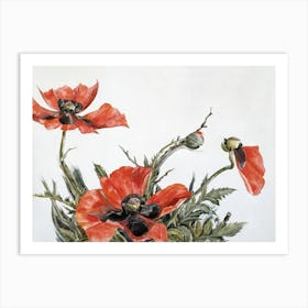 Red Poppies, Charles Demuth Art Print