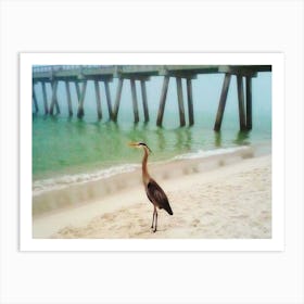 Heron On The Beach Art Print