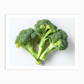 Broccoli On White Background 6 Art Print