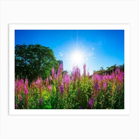 A Bright Sunrise Casting A Luminescent Glow On A Lush Countryside Garden During Summer Awash With P (2) Art Print