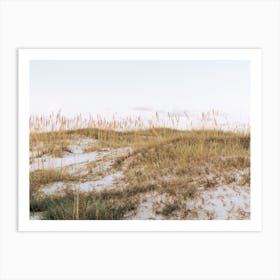 Gulf Dunes Art Print