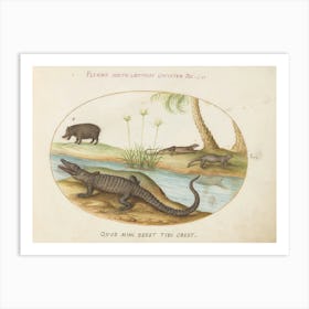 Animalia Qvadrvpedia Et Reptilia, Joris Hoefnagel (5) Art Print