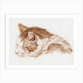 Head Of A Sleeping Cat, Jean Bernard Art Print