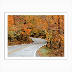 Road Through Fall Forest Art Print