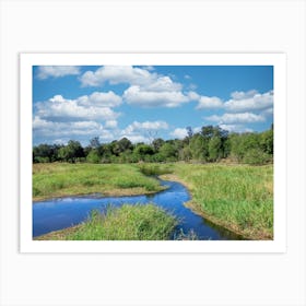 Okavango Delta channels Art Print