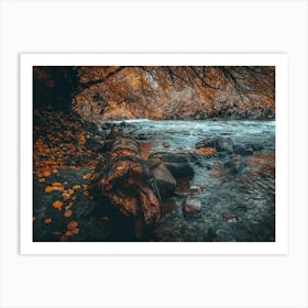 Autumn River Art Print