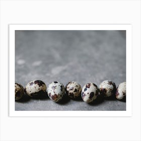 Quail Eggs 12 Art Print